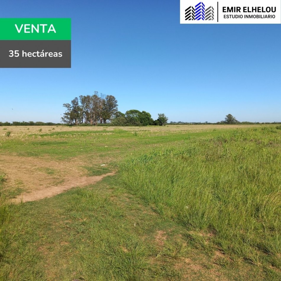 Campo de 35 hectareas agricolas en Villa Campi