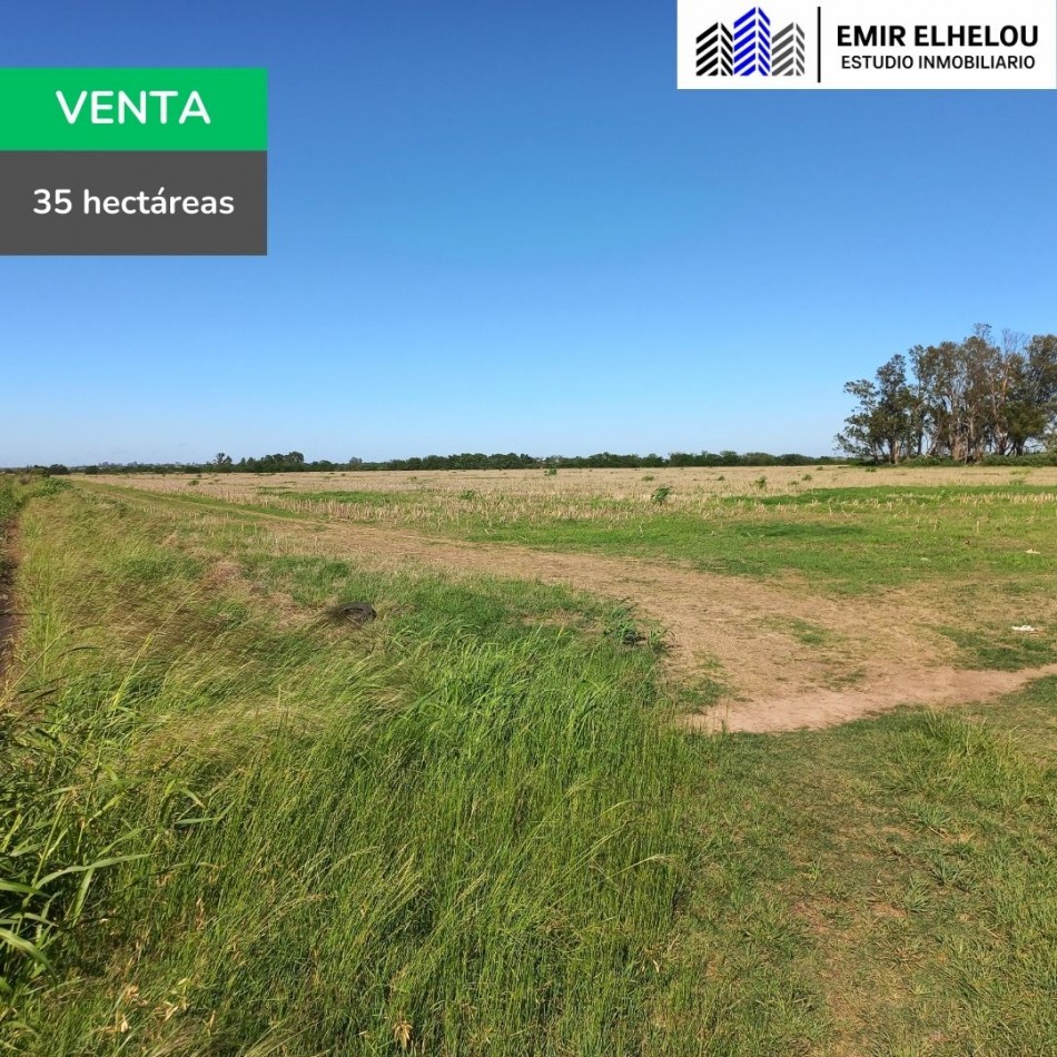 Campo de 35 hectareas agricolas en Villa Campi