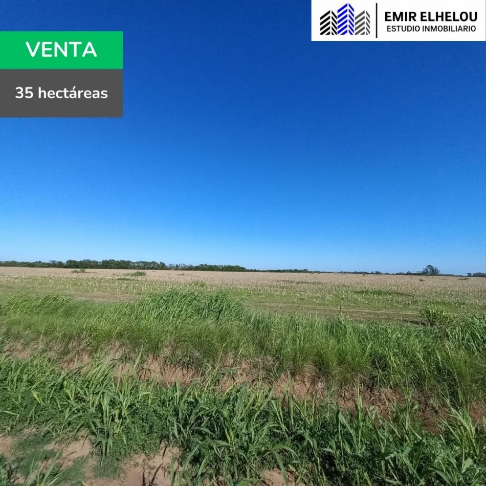 Campo de 35 hectareas agricolas en Villa Campi