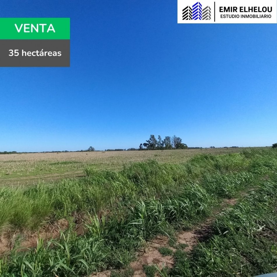 Campo de 35 hectareas agricolas en Villa Campi