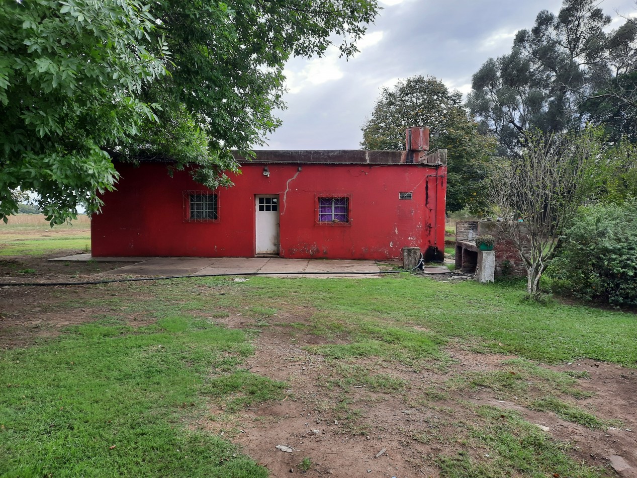 Hermoso campo de 5,6 hectareas en La Violeta (Partido de Pergamino)