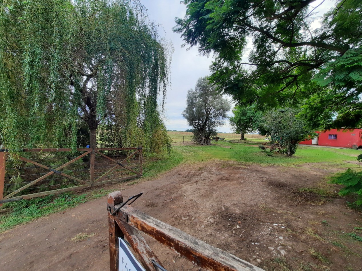 Hermoso campo de 5,6 hectareas en La Violeta (Partido de Pergamino)