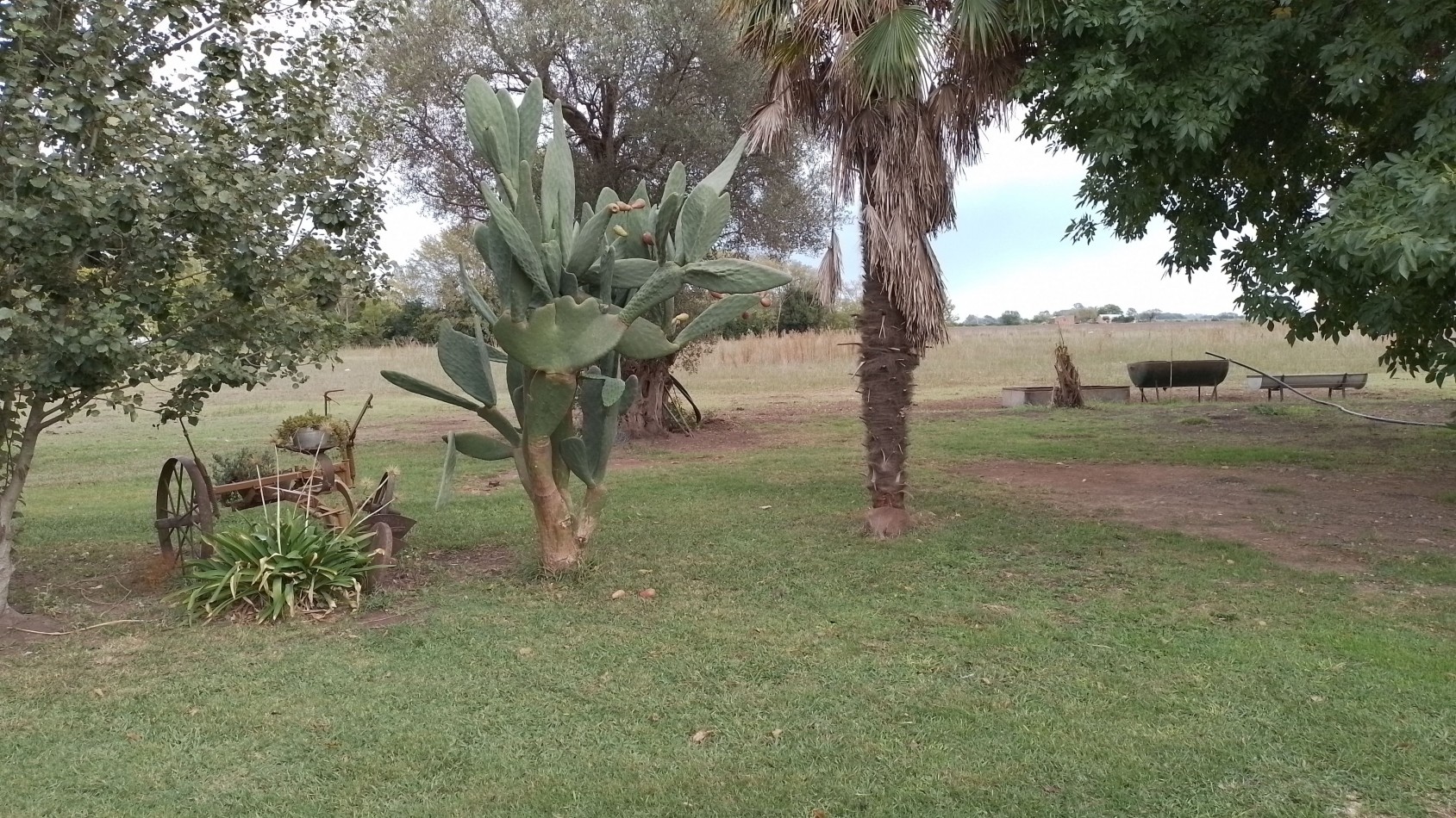 Hermoso campo de 5,6 hectareas en La Violeta (Partido de Pergamino)