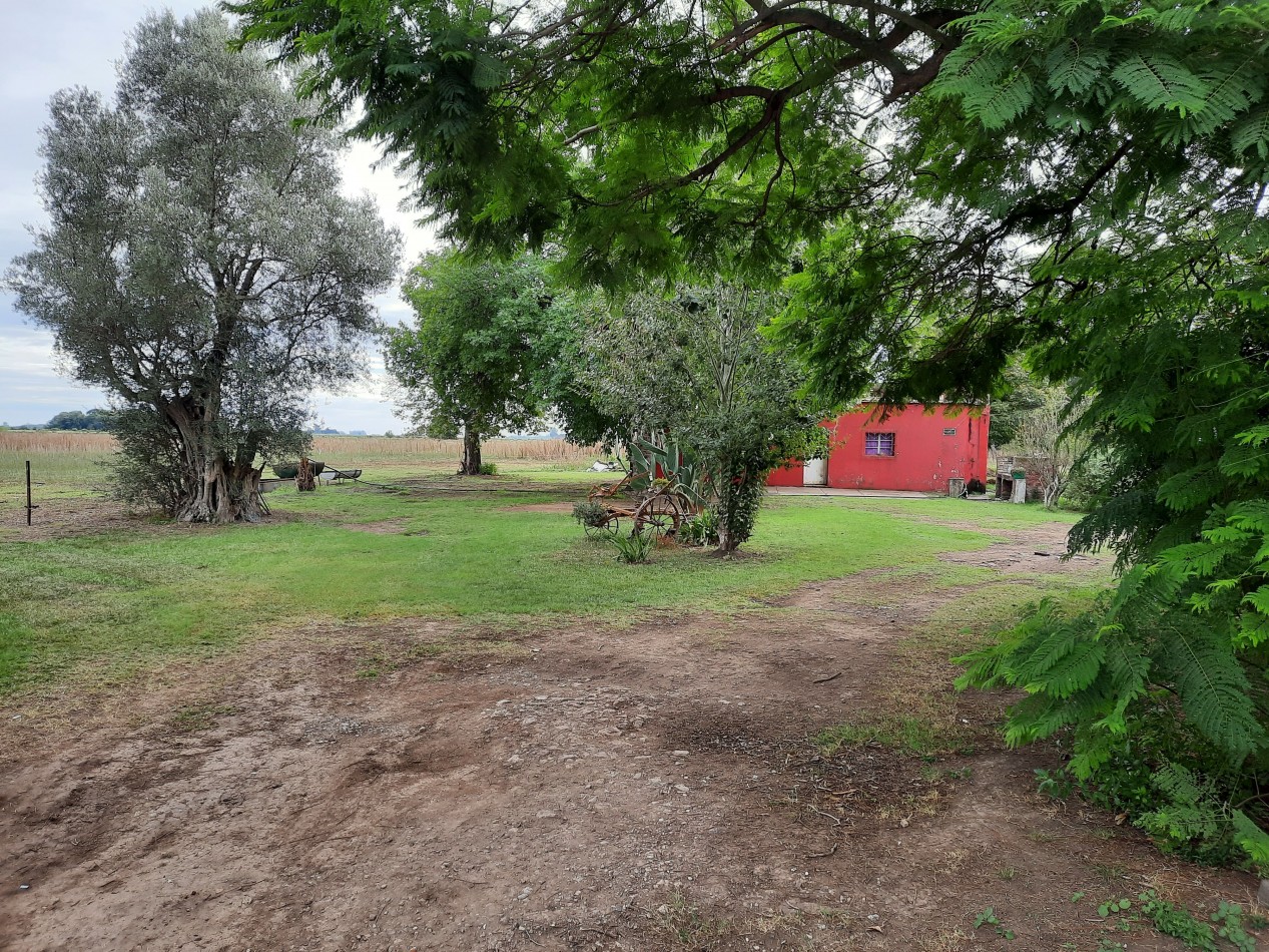 Hermoso campo de 5,6 hectareas en La Violeta (Partido de Pergamino)