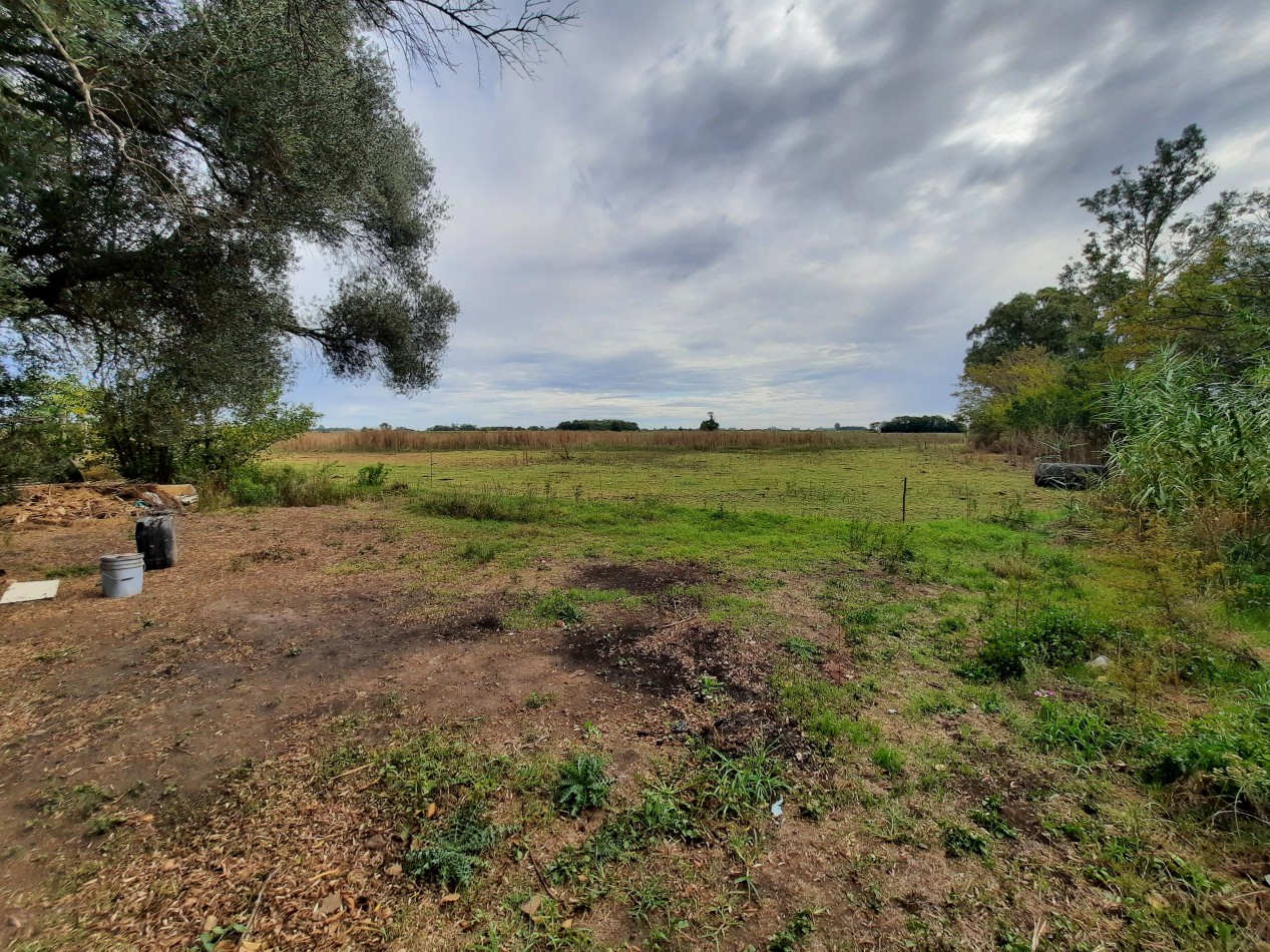 Hermoso campo de 5,6 hectareas en La Violeta (Partido de Pergamino)