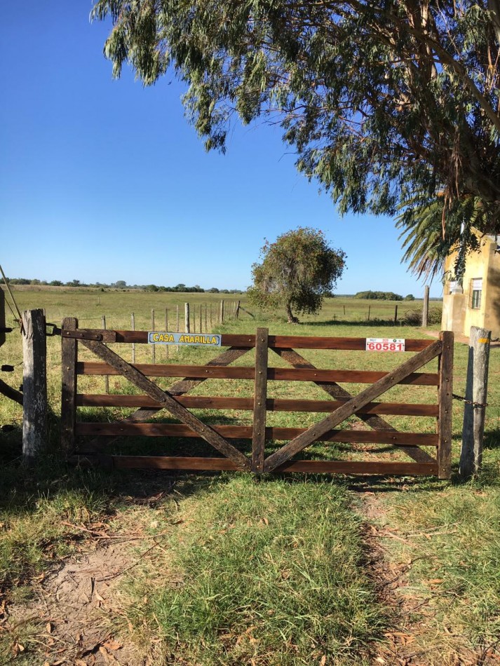 Campo ganadero de 73 hectareas con mejoras en Magdalena