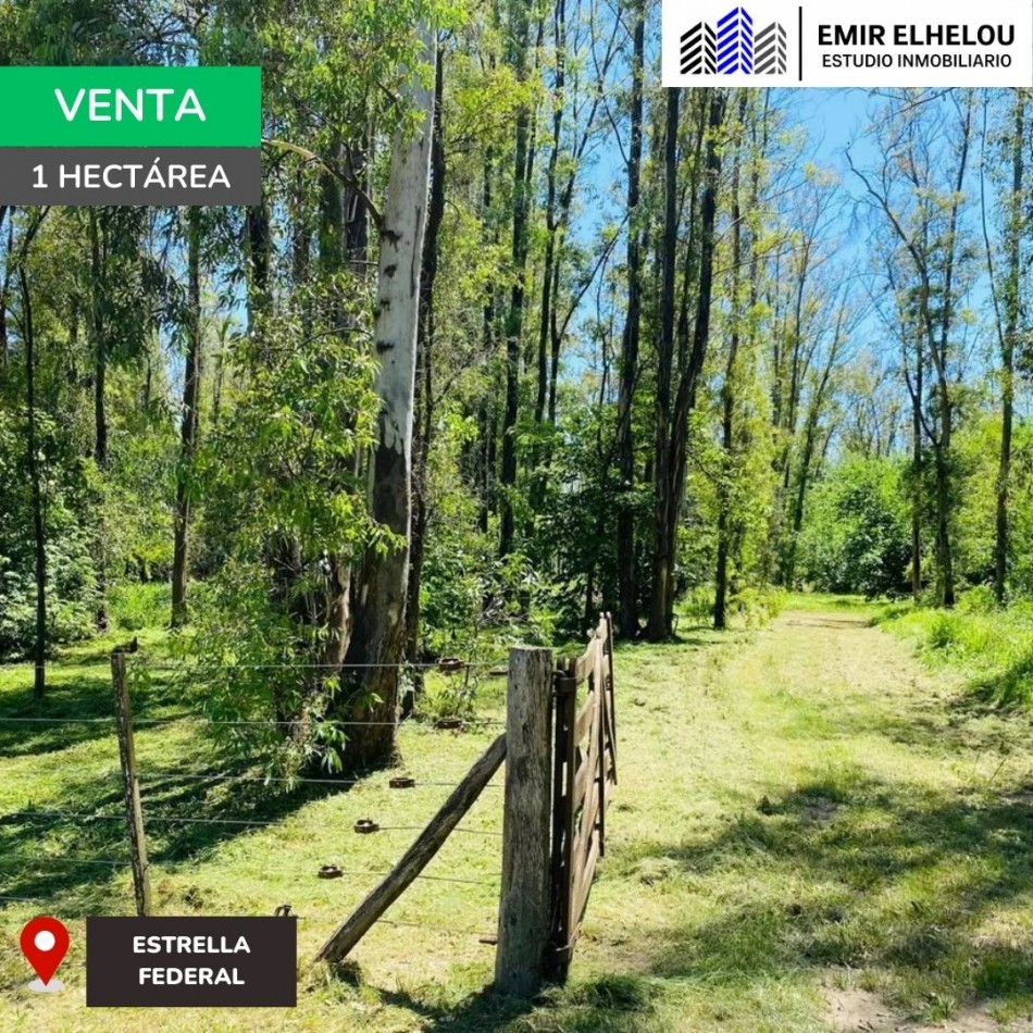 Lote de 1 hectarea en Estancia Estrella Federal