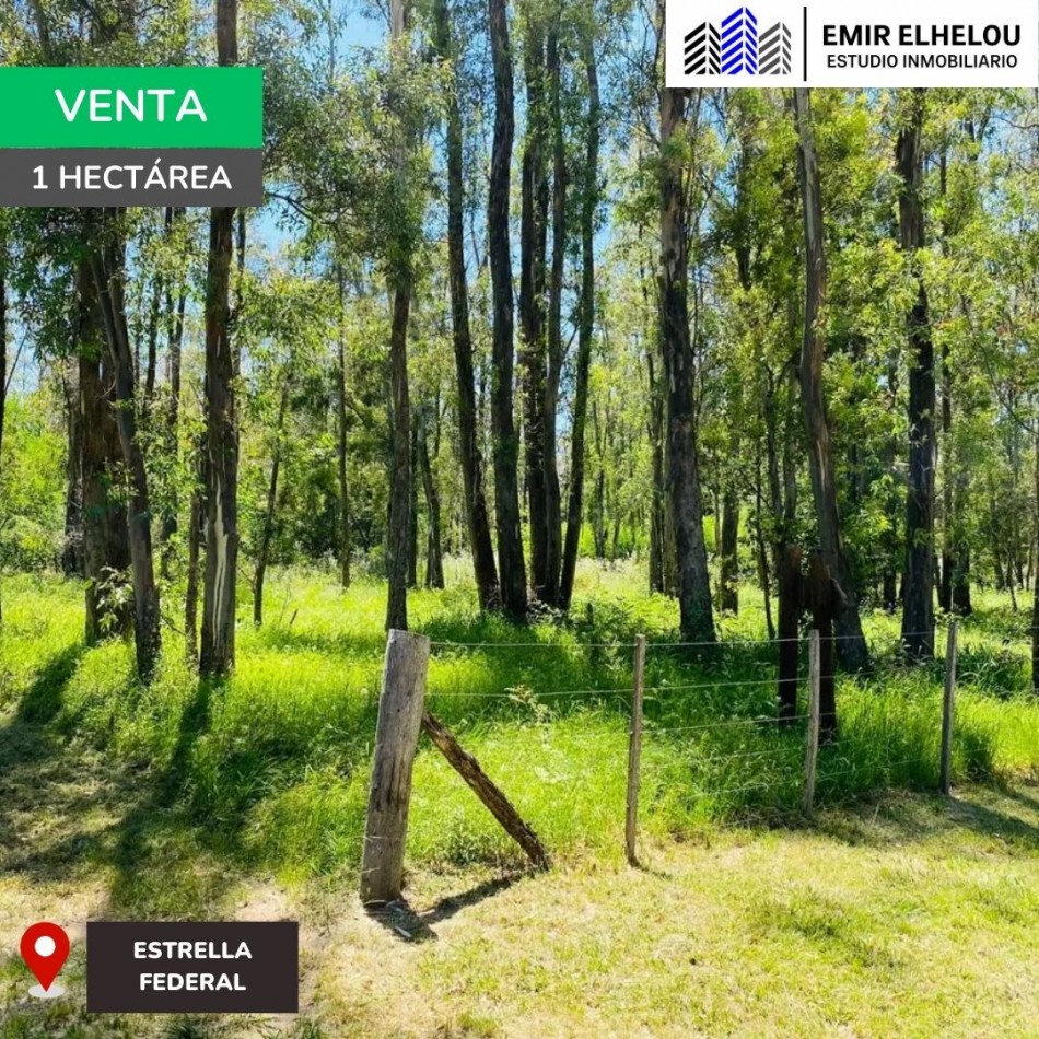 Lote de 1 hectarea en Estancia Estrella Federal