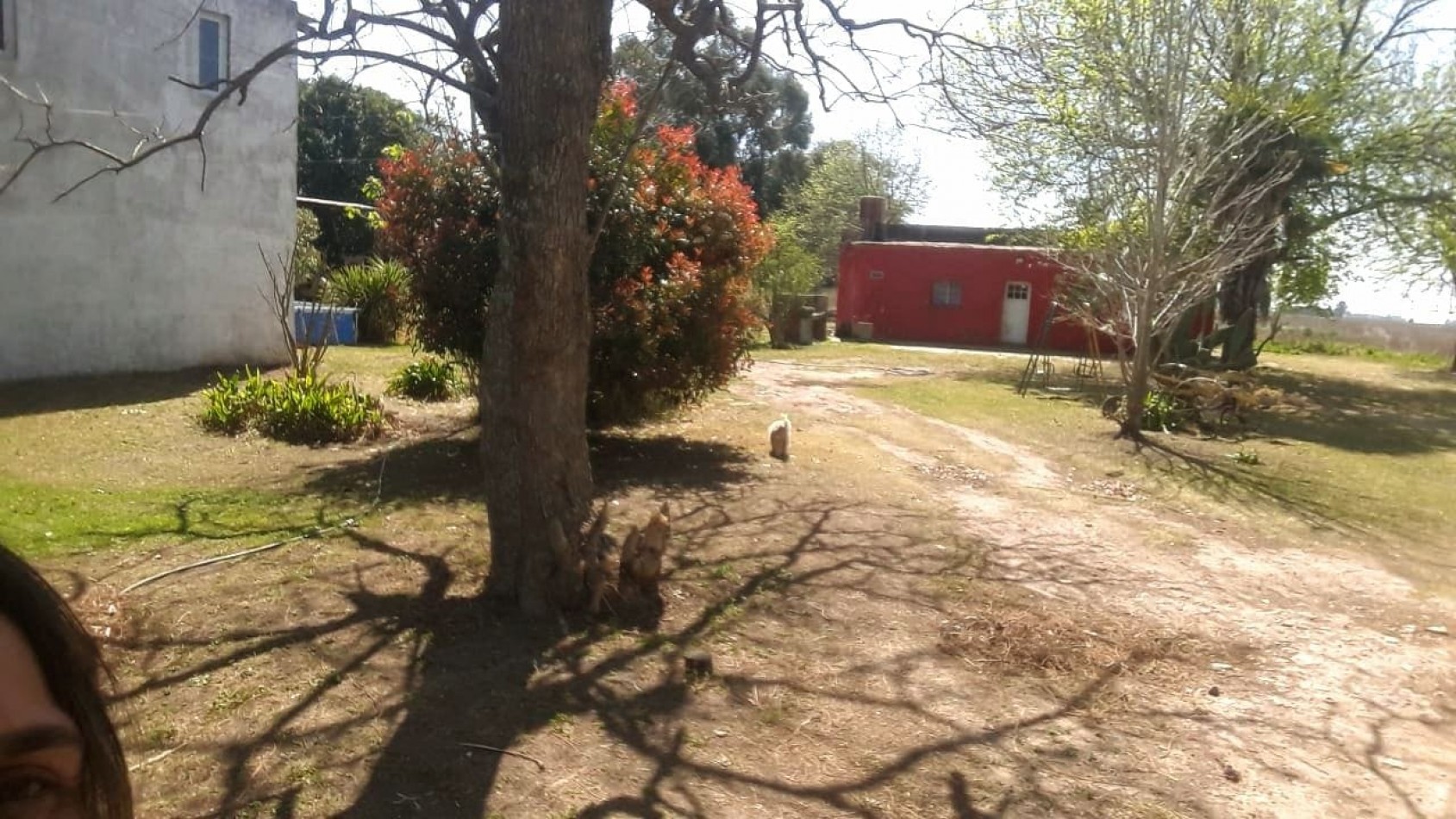 Hermoso campo de 5,6 hectareas en La Violeta (Partido de Pergamino)