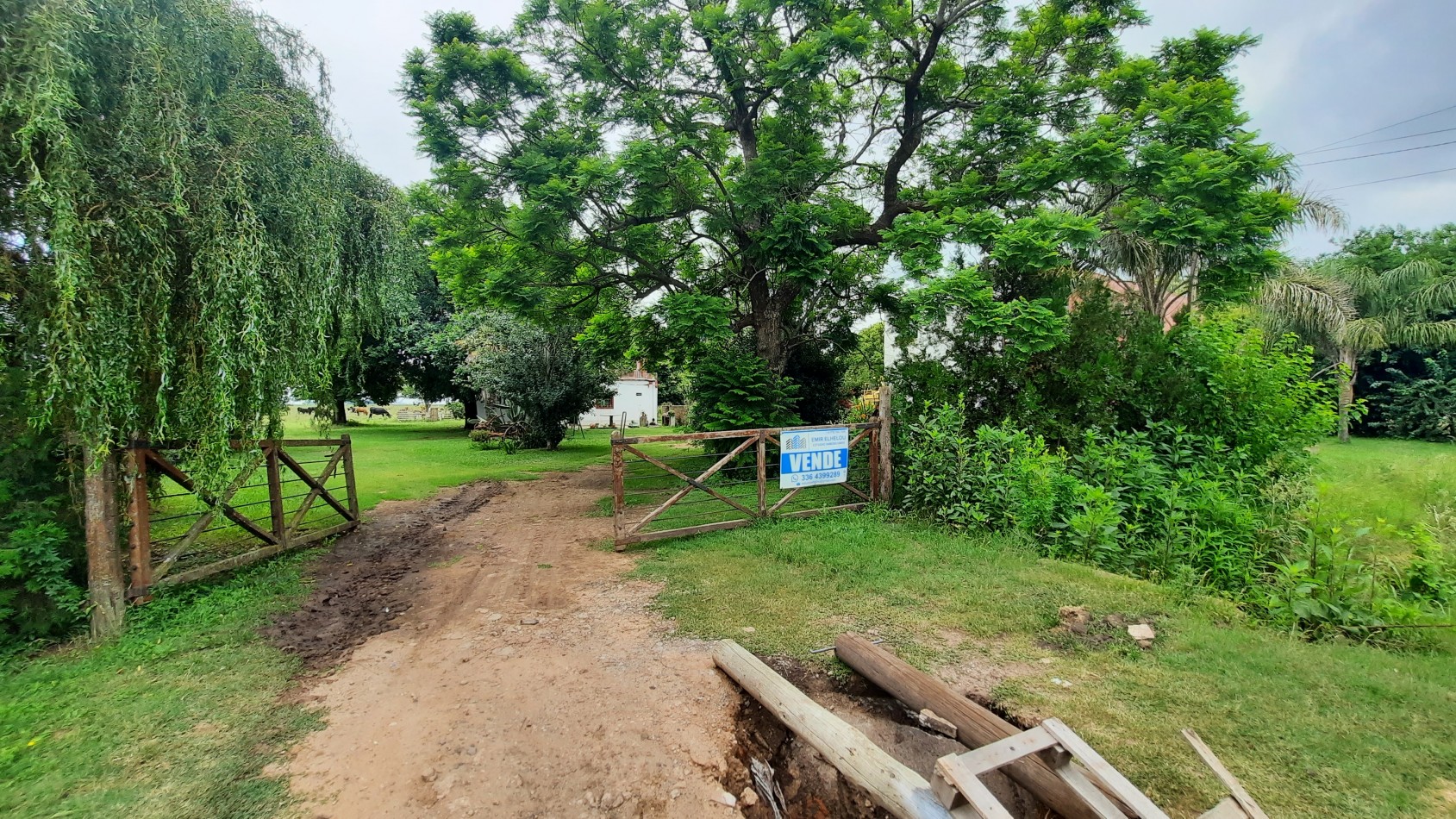 Hermoso campo de 5,6 hectareas en La Violeta (Partido de Pergamino)