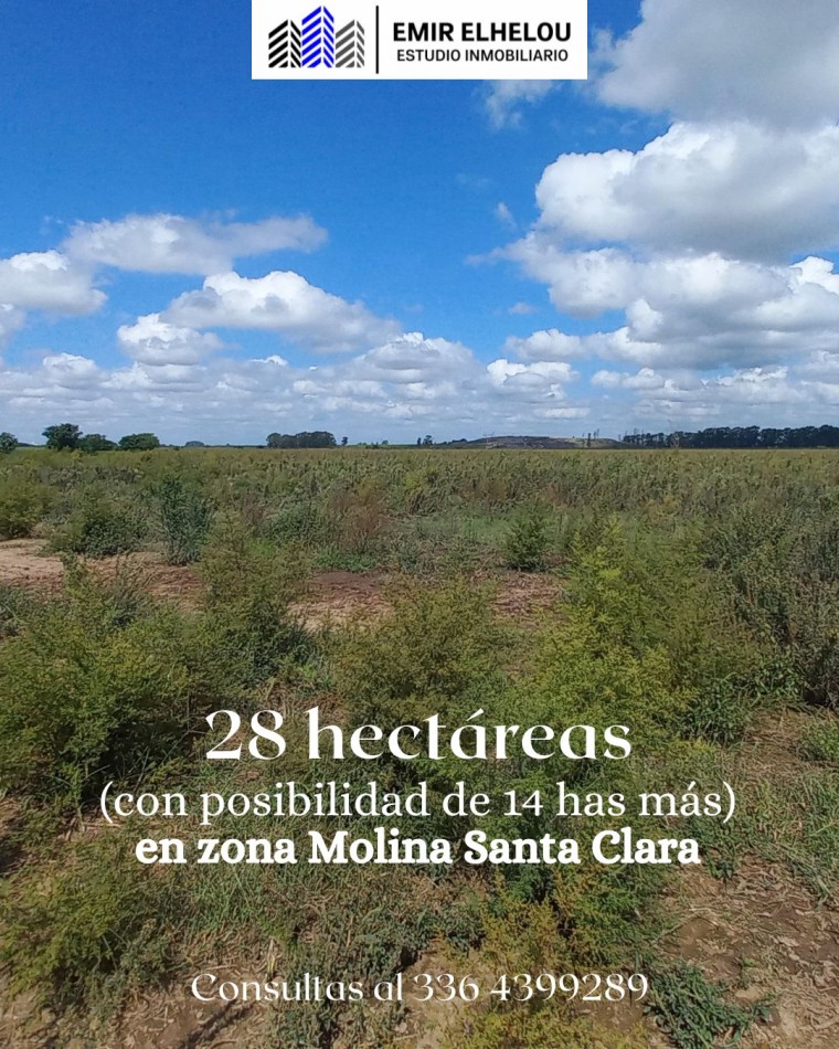 Campo de 28 hectareas en zona Molino Santa Clara
