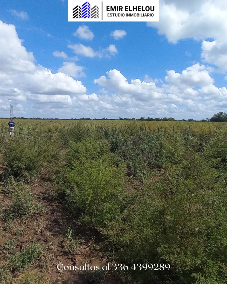Campo de 28 hectareas en zona Molino Santa Clara