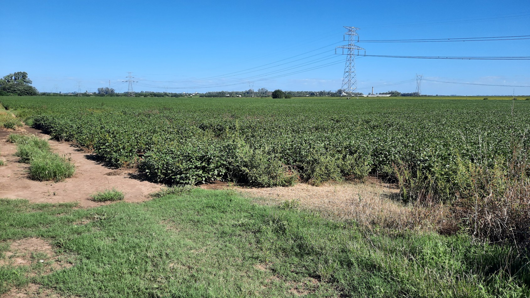 Campo agricola de 15 hectareas en Theobald (Santa Fe)