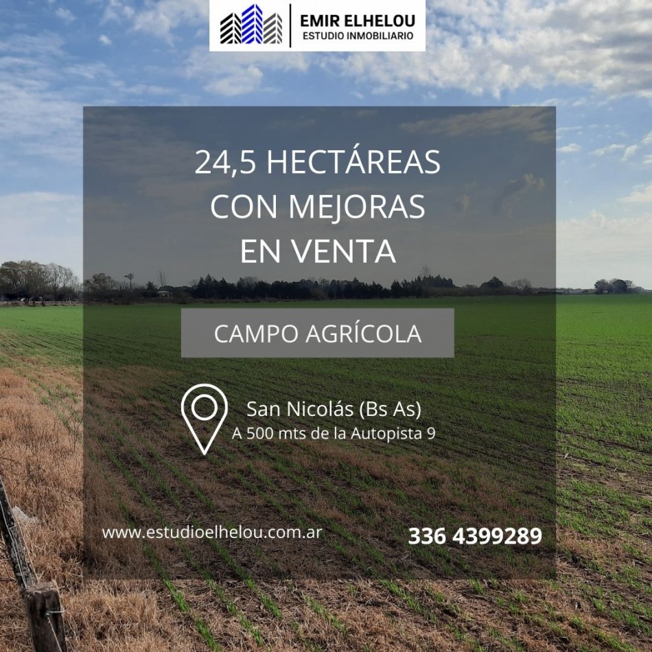 Campo agricola de 24,5 hectareas con mejoras en San Nicolas