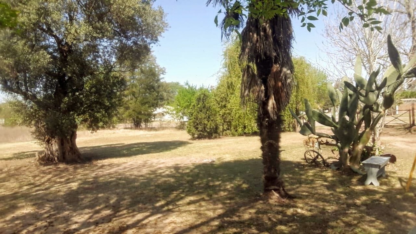Hermoso campo de 5,6 hectareas en La Violeta (Partido de Pergamino)