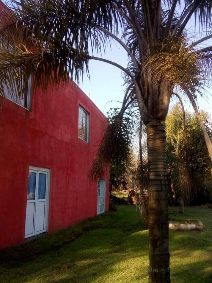 Hermoso campo de 5,6 hectareas en La Violeta (Partido de Pergamino)