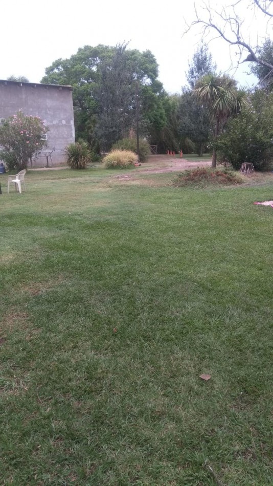 Hermoso campo de 5,6 hectareas en La Violeta (Partido de Pergamino)
