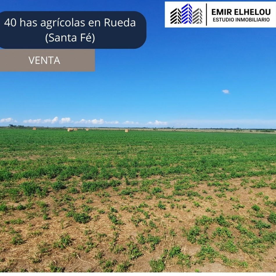 Campo mixto de 40 has camino a Oratorio Morante