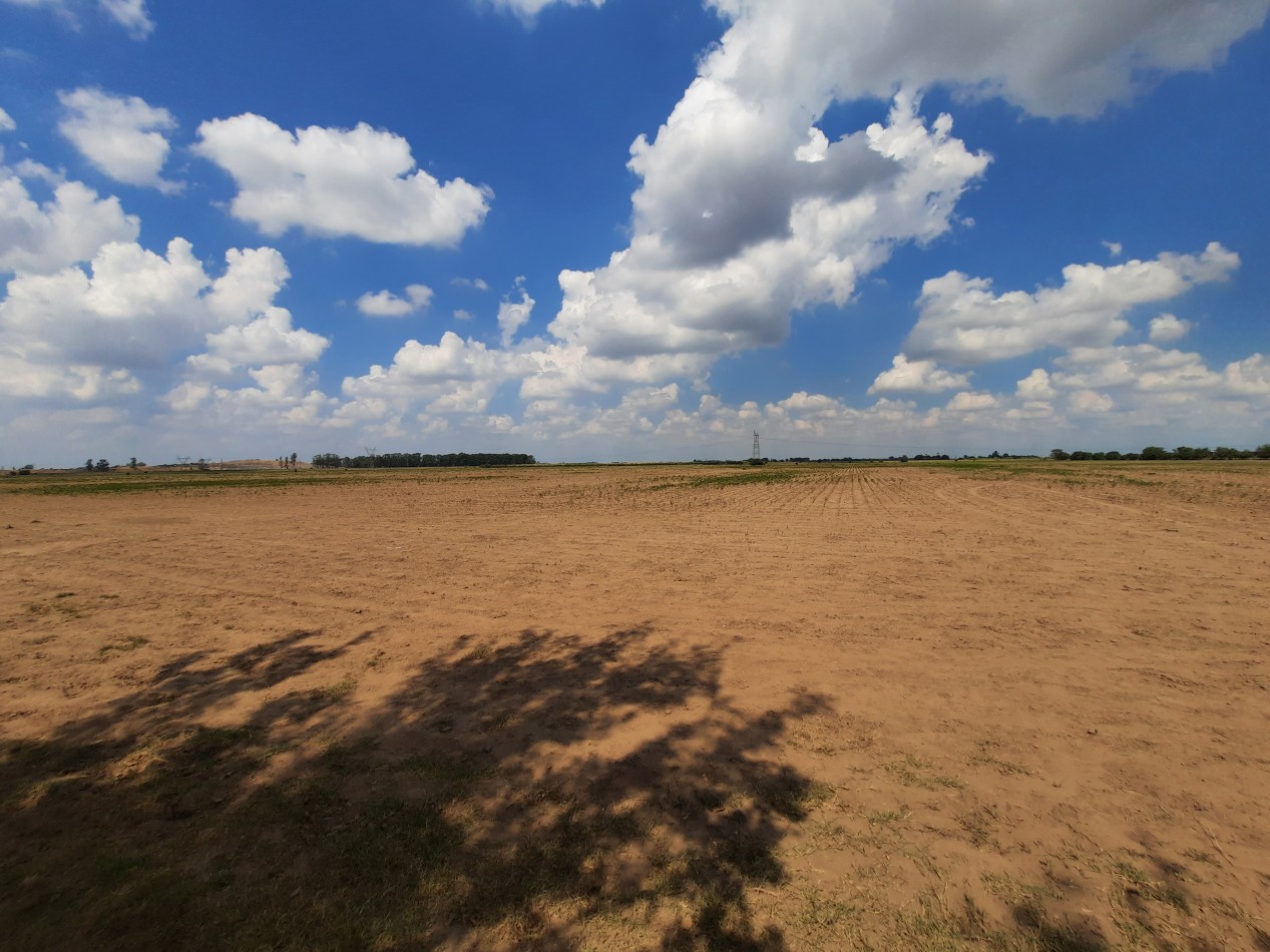 Campo de 42,5 hectareas agricolas en San Nicolas
