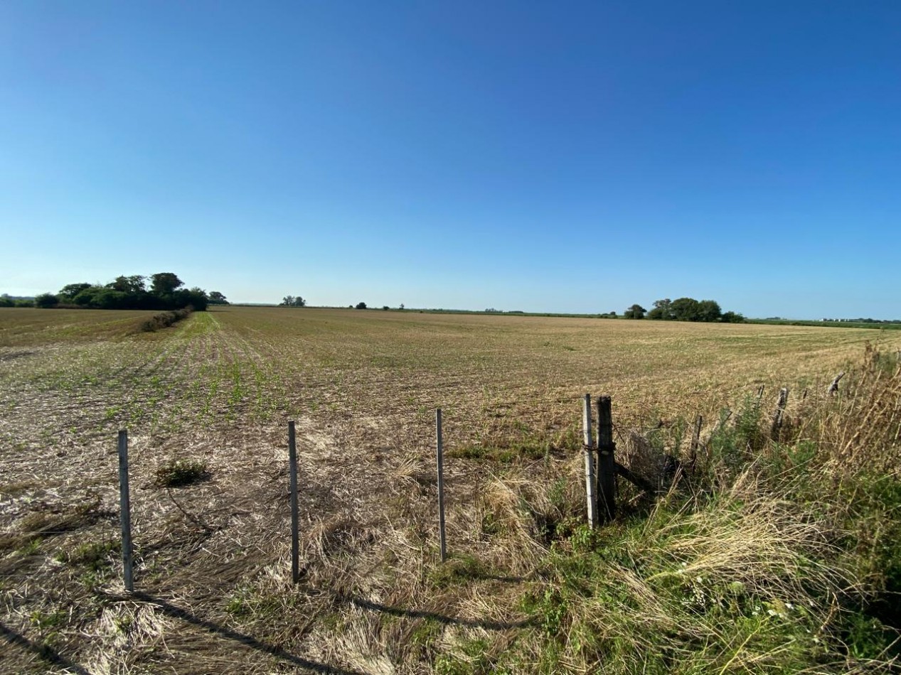 Campo agricola de 9,3 hectareas en Ramallo 