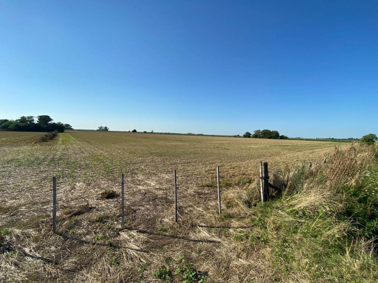 Campo agricola de 9,3 hectareas en Ramallo 