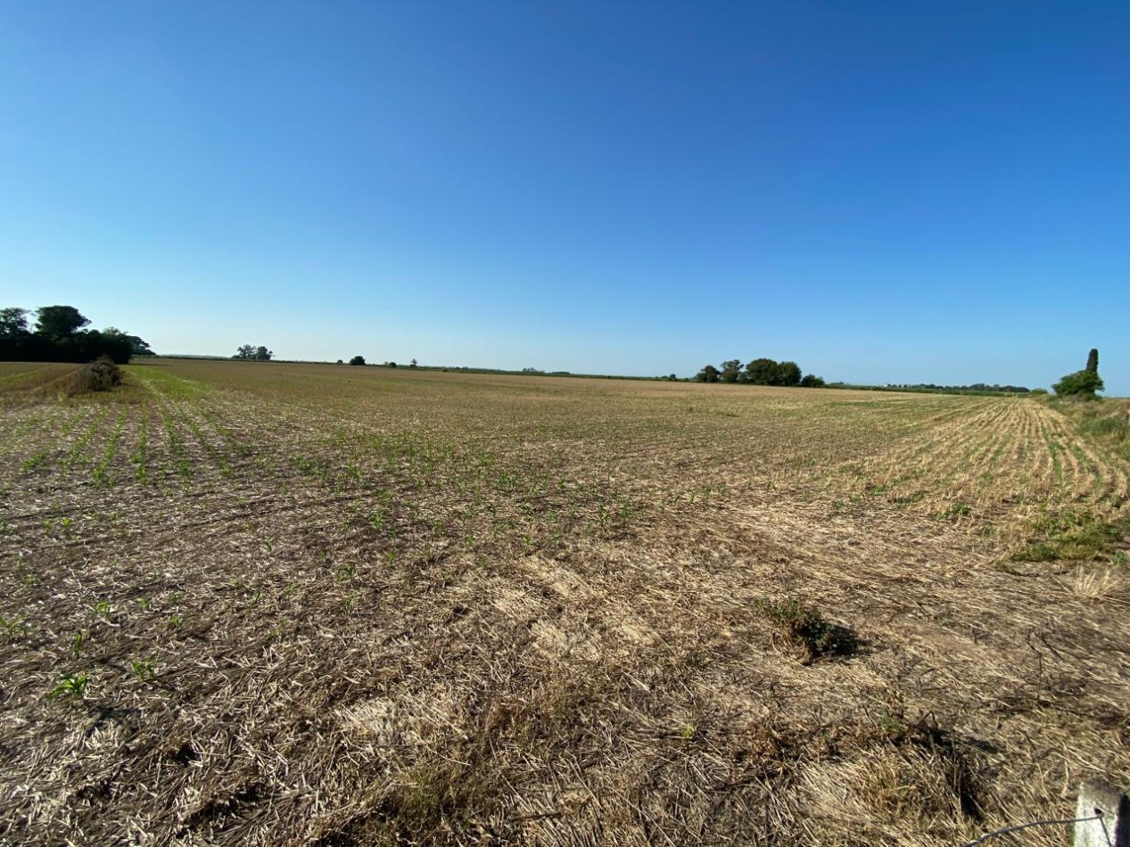 Campo agricola de 9,3 hectareas en Ramallo 