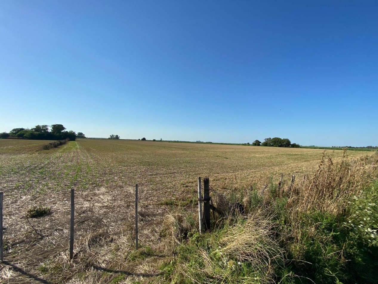 Campo agricola de 9,3 hectareas en Ramallo 
