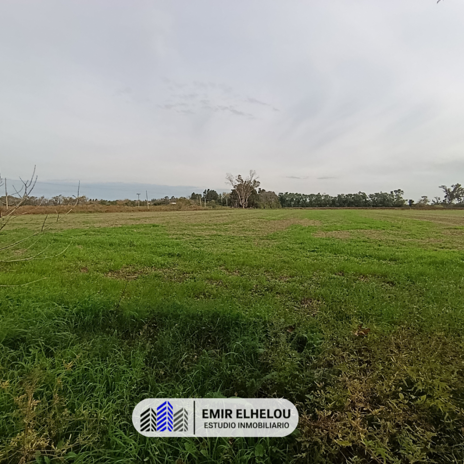 Campo de 9 hectareas en San Nicolas