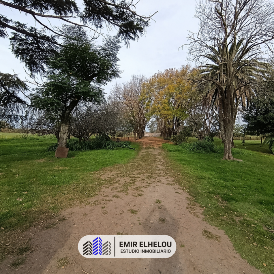 Campo de 9 hectareas en San Nicolas