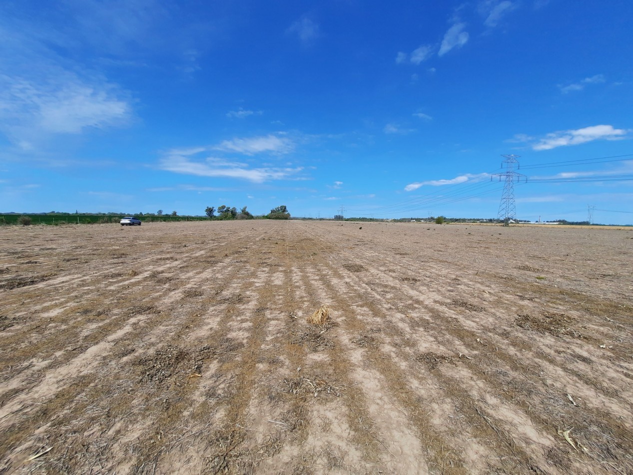 Campo agricola de 15 hectareas en Theobald (Santa Fe)