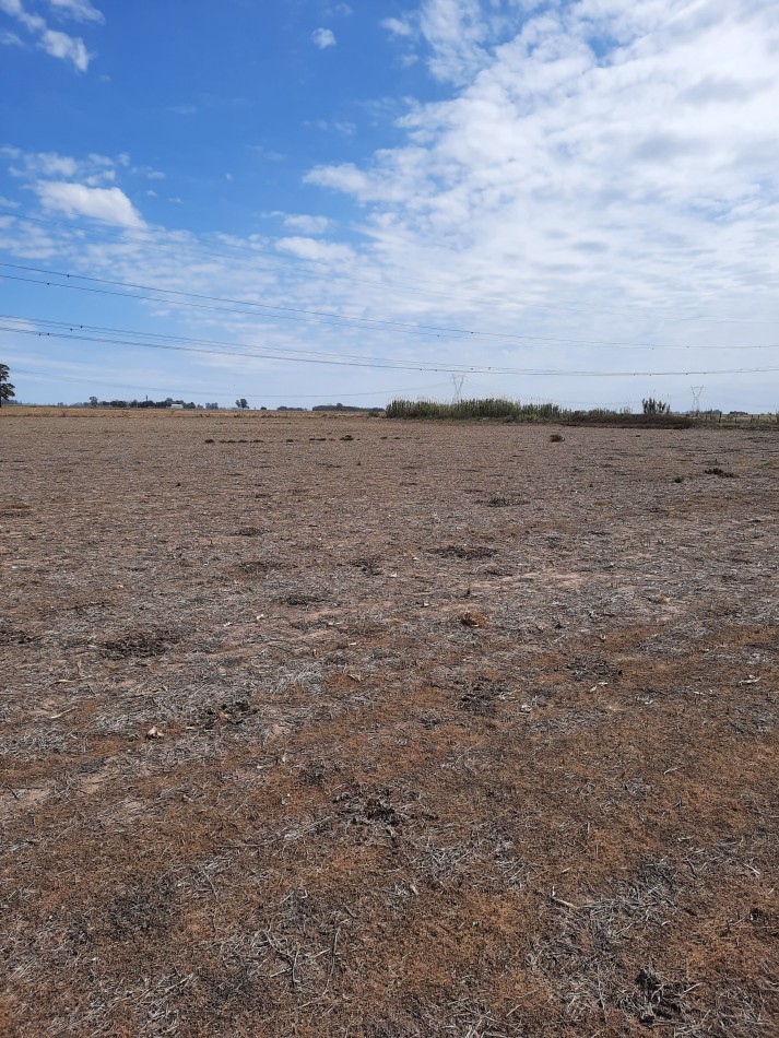 Campo agricola de 15 hectareas en Theobald (Santa Fe)