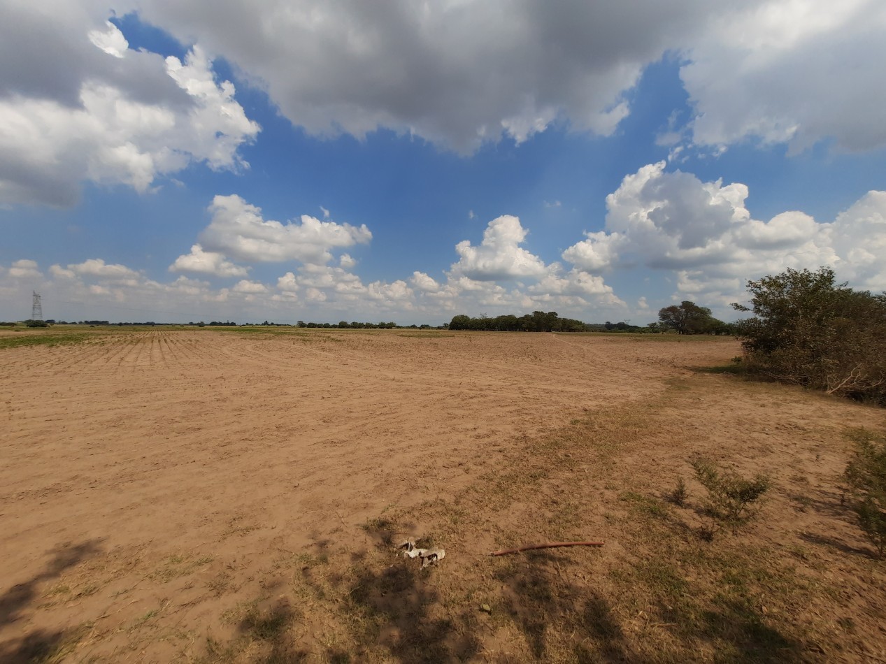 Campo de 42,5 hectareas agricolas en San Nicolas