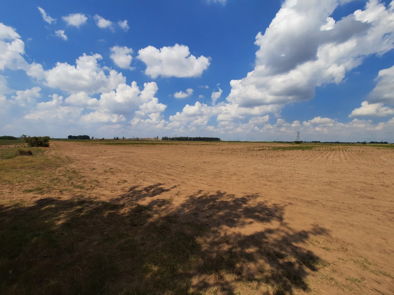 Campo de 42,5 hectareas agricolas en San Nicolas