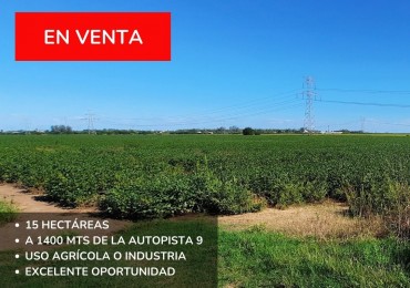 Campo agricola de 15 hectareas en Theobald