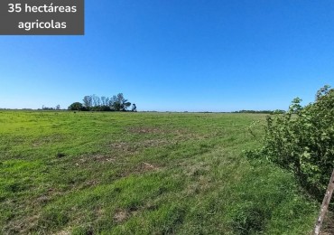 Campo de 35 hectareas agricolas en Villa Campi