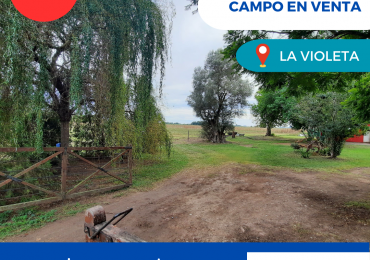 Hermoso campo de 5,6 hectareas en La Violeta (Partido de Pergamino)