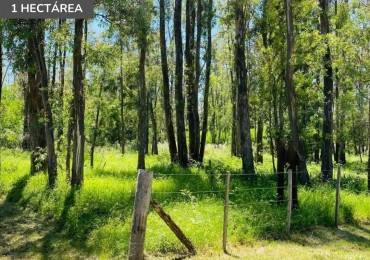 Lote de 1 hectarea en Estancia Estrella Federal