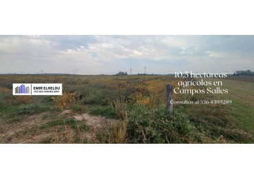 Campo agricola de 10,5 en Campos Salles