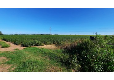 Campo agricola de 15 hectareas en Theobald (Santa Fe)