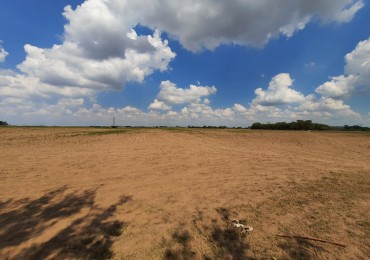 Campo de 42,5 hectareas agricolas en San Nicolas