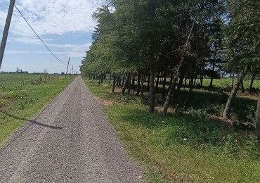 Lote de 2,4 hectareas ideal casa de fin de semana o proyecto