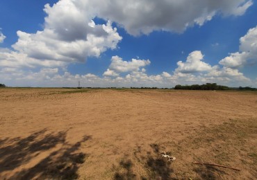 Campo de 42,5 hectareas agricolas en San Nicolas