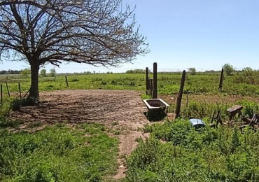 Campo de 3,88 hectareas sobre Camino Nacion
