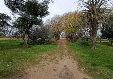 Hermoso campo de 9 hectareas cercania a Autop. 9