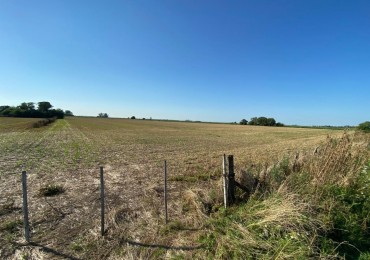 Campo agricola de 9,3 has en Ramallo