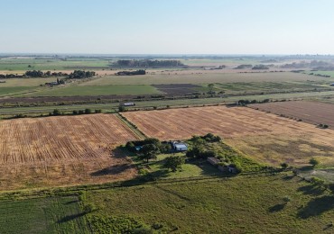 Campo de 12,5 has en alquiler sobre Autopista 9 (Sobre Autopista Bs As Rosario)