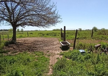 Campo de 4 hectareas en La Emilia (Camino Nacion)